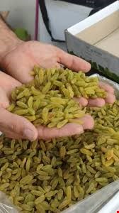 کشمش سبز اعلا